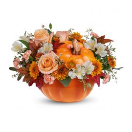 Greeting Pumpkin Bouquet