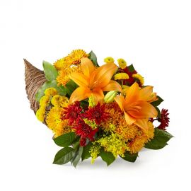 Mixed Classic cornucopia