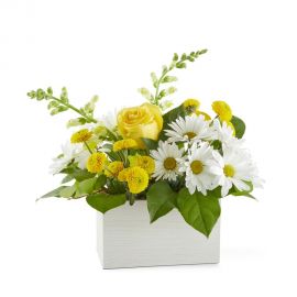 Sunny Kiss Of Peace Box Bouquet