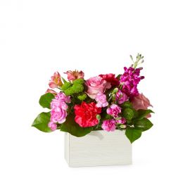 SugarFruit Box