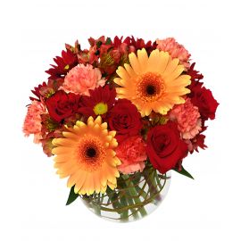 Fiery&Spicy Arrangement