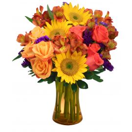Sunflower Typification