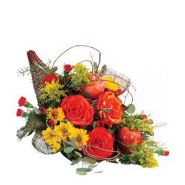 Magnificent Cornucopia