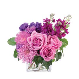 Purple Bliss